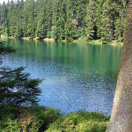 Appartement Hemlock, Mit Balkon *