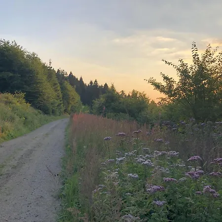 Hemlock, Mit Balkon *